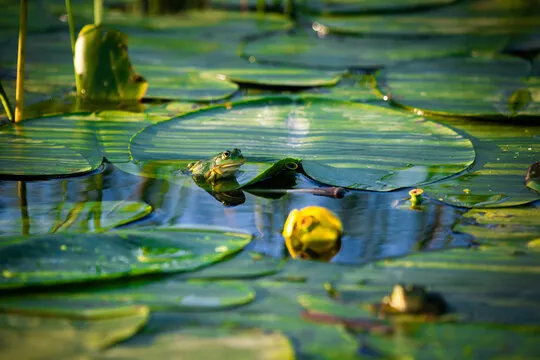 澳洲幸运8历史开奖记录深度解析：数据背后的机遇与误区